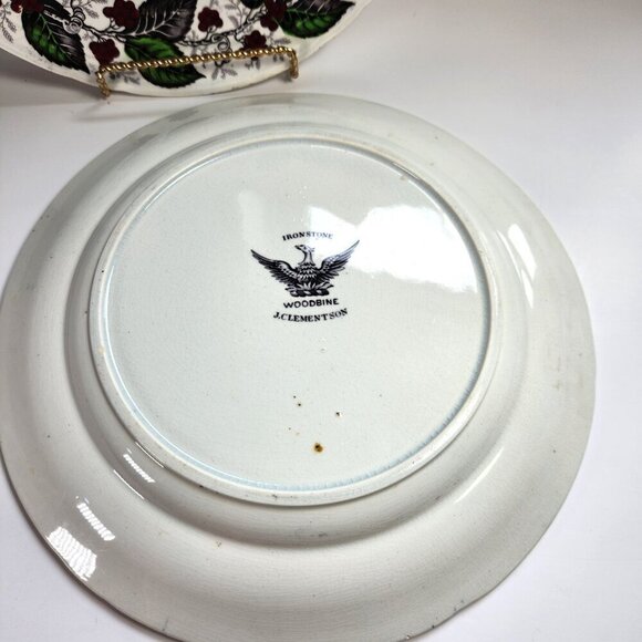 Woodbine Dinner Plates Lot of 2 10 5/8 in. Diameter J. Clementson Antiqu… - Picture 4 of 7